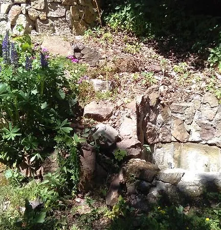 Kongo Konukevi Telnice