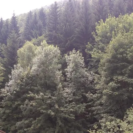 Kongo Konukevi Telnice
