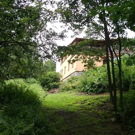 Kongo Konukevi